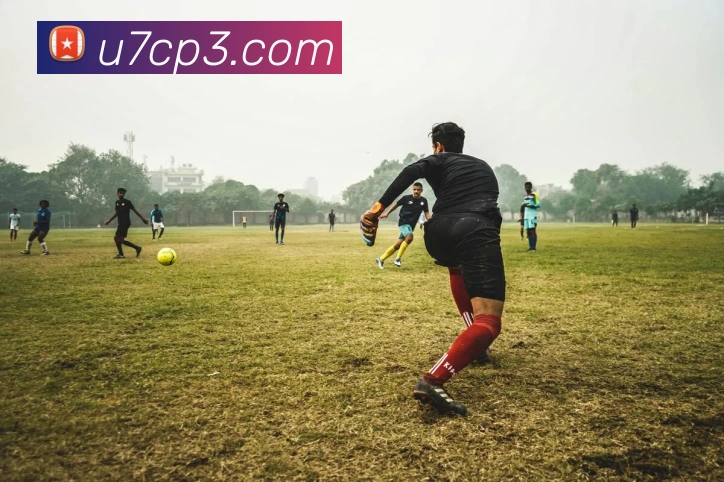 APP界面展示